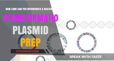 Refrigerating Bacterial Transformation Plasmids: Optimal Storage Duration Tips