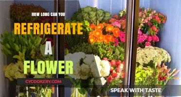 Refrigerating Flowers: How Long Can They Stay Fresh and Vibrant?