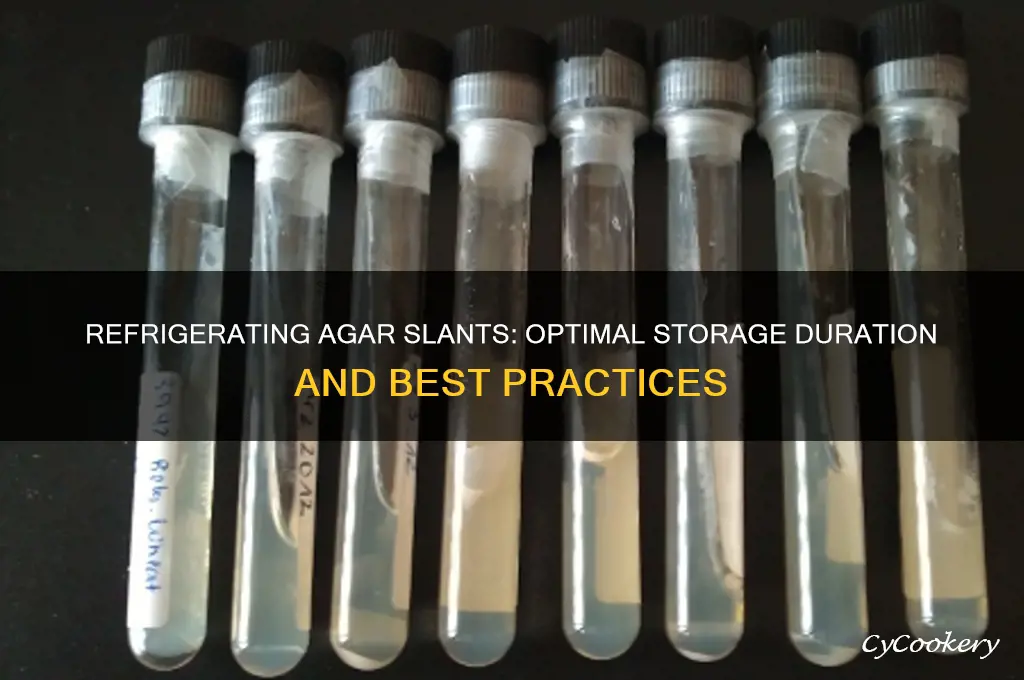 how long can you refrigerate agar slants