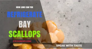 Refrigerating Bay Scallops: Optimal Storage Time and Freshness Tips