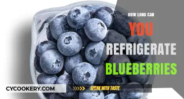 Refrigerating Blueberries: Optimal Storage Time and Freshness Tips