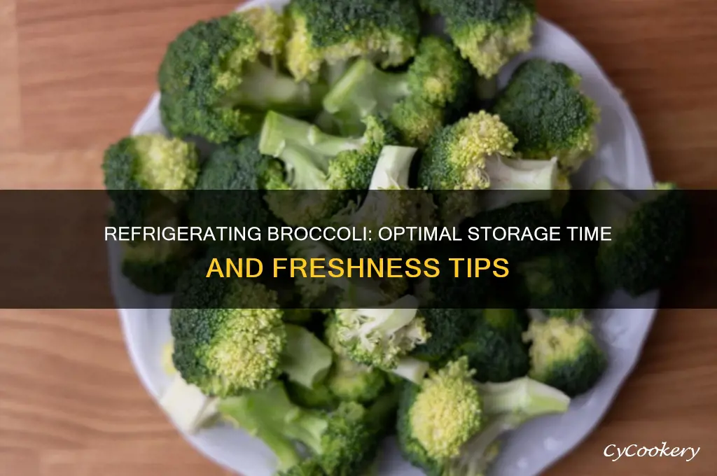 how long can you refrigerate broccoli