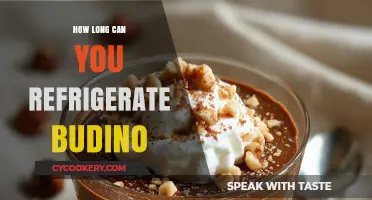 Refrigerating Budino: Optimal Storage Time and Freshness Tips