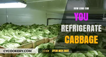 Refrigerating Cabbage: Optimal Storage Time and Freshness Tips