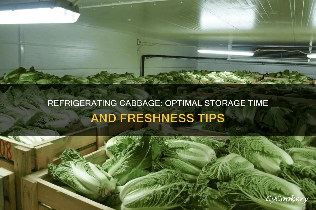 how long can you refrigerate cabbage