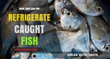Refrigerating Freshly Caught Fish: Optimal Storage Time and Tips