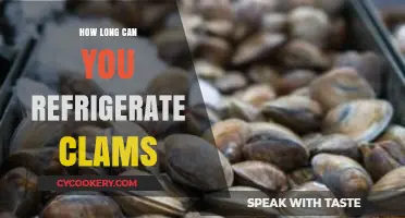 Refrigerating Clams: Safe Storage Duration and Freshness Tips