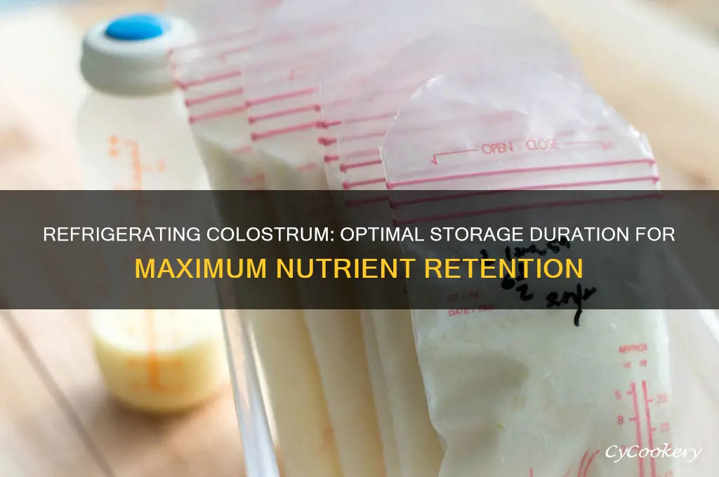 how long can you refrigerate colostrum