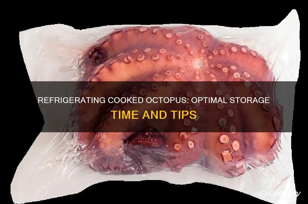 how long can you refrigerate cooked octopus