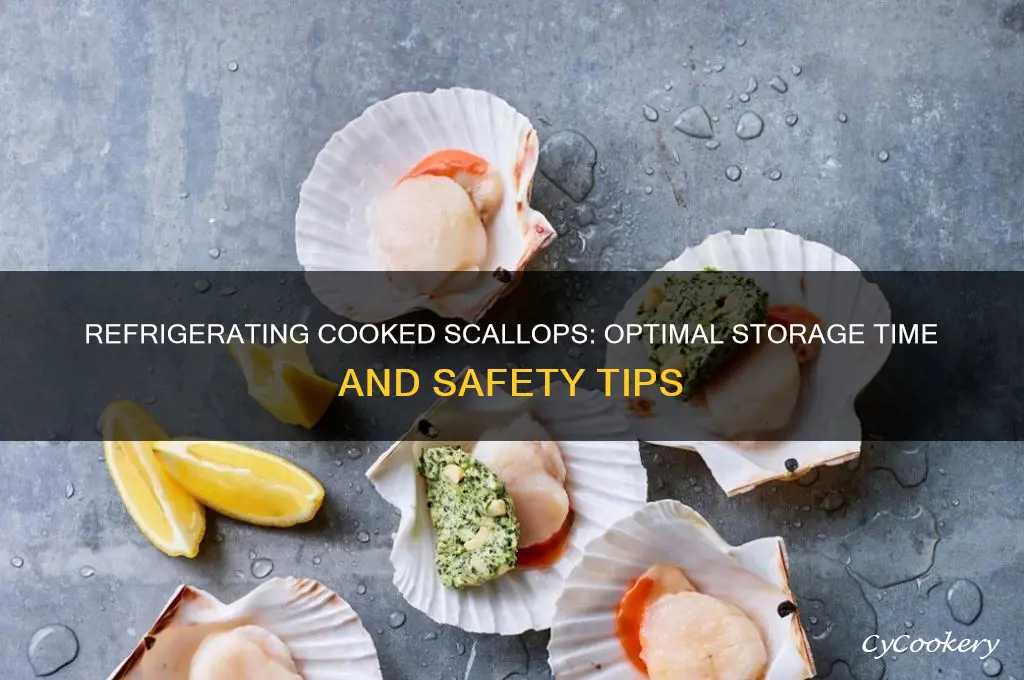 how long can you refrigerate cooked scallops
