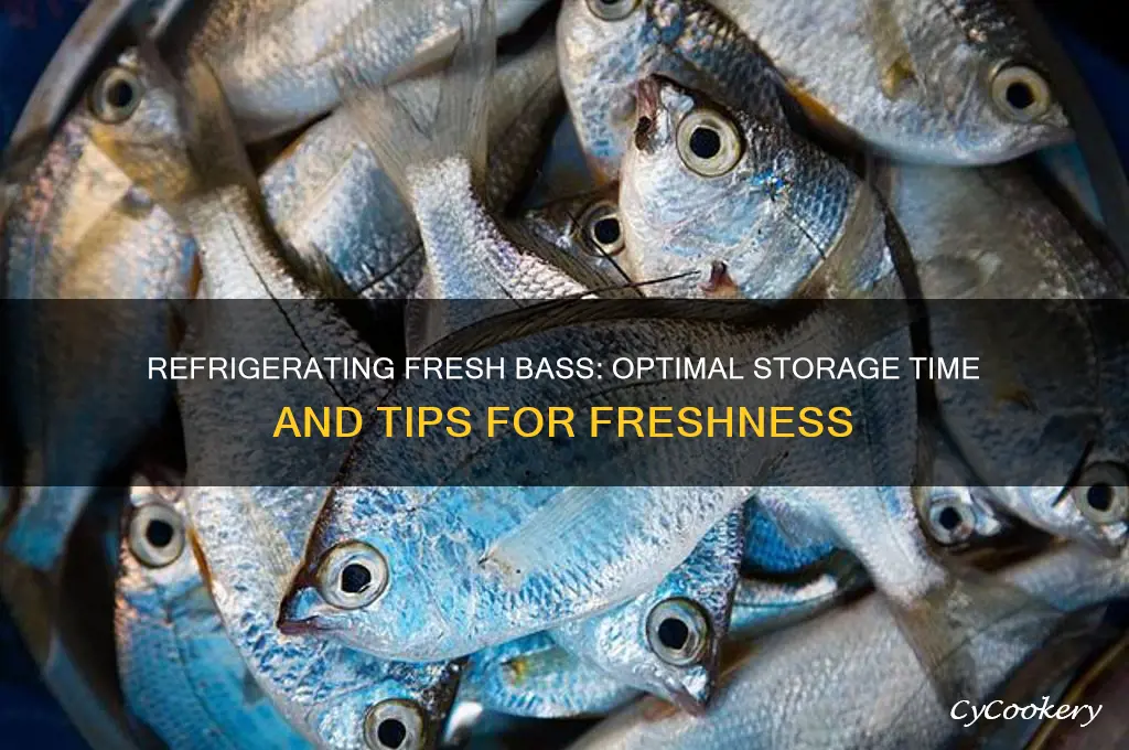 how long can you refrigerate fresh bass