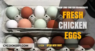 Refrigerating Fresh Chicken Eggs: Optimal Storage Time and Tips