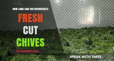 Refrigerating Fresh Cut Chives: Optimal Storage Time and Tips