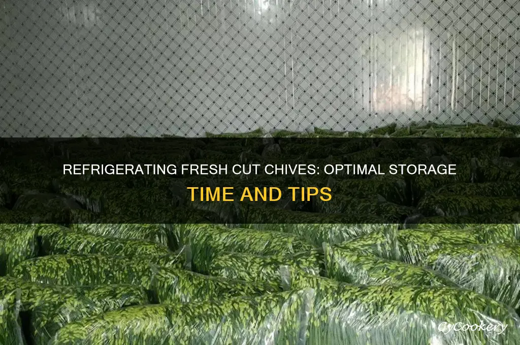 how long can you refrigerate fresh cut chives