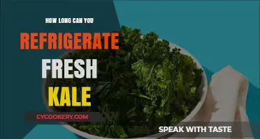 Refrigerating Fresh Kale: Optimal Storage Time and Tips for Freshness