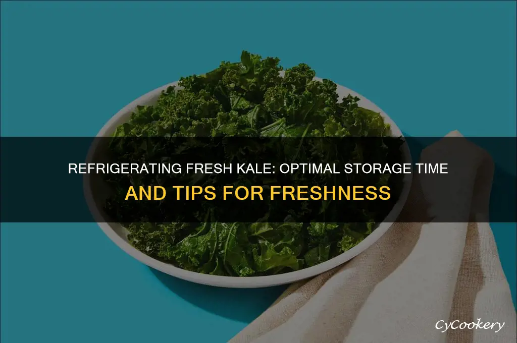 how long can you refrigerate fresh kale