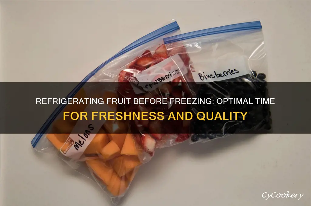 how long can you refrigerate fruit before freezing it