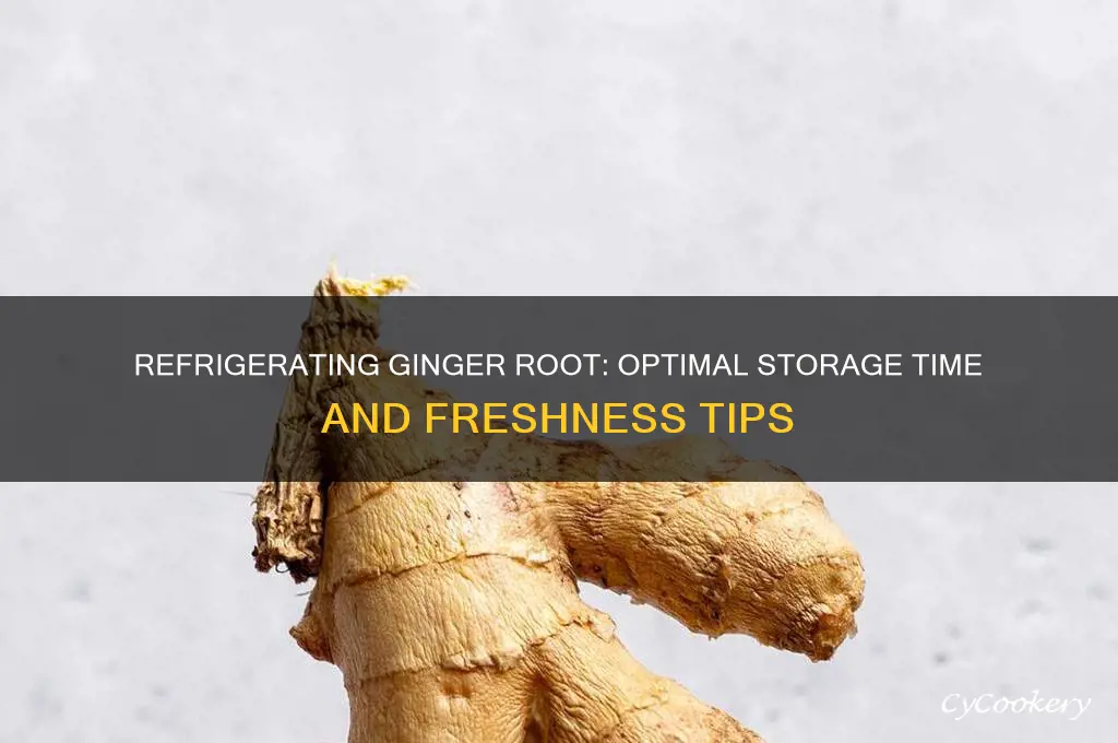 how long can you refrigerate ginger root