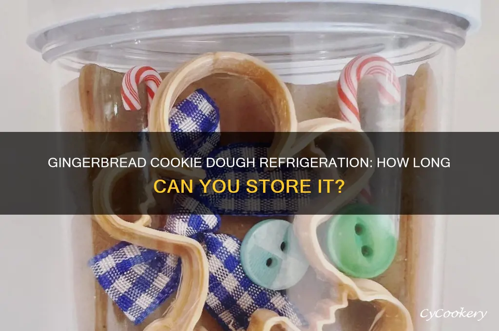 how long can you refrigerate gingerbread cookie dough