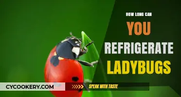 Refrigerating Ladybugs: Safe Storage Duration and Care Tips Revealed