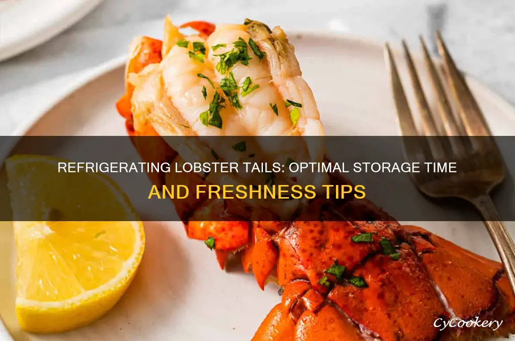 how long can you refrigerate lobster tails