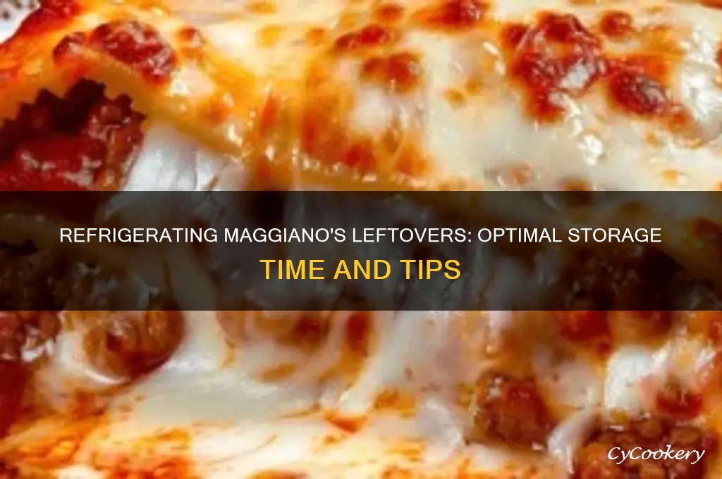 how long can you refrigerate magiano