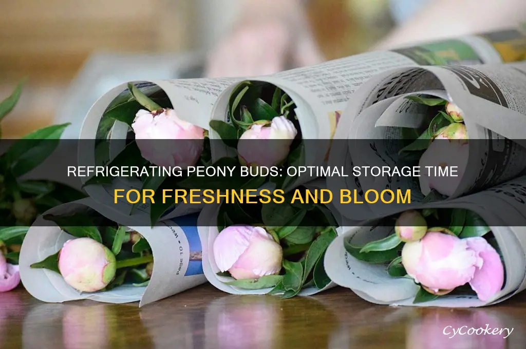 how long can you refrigerate peony buds