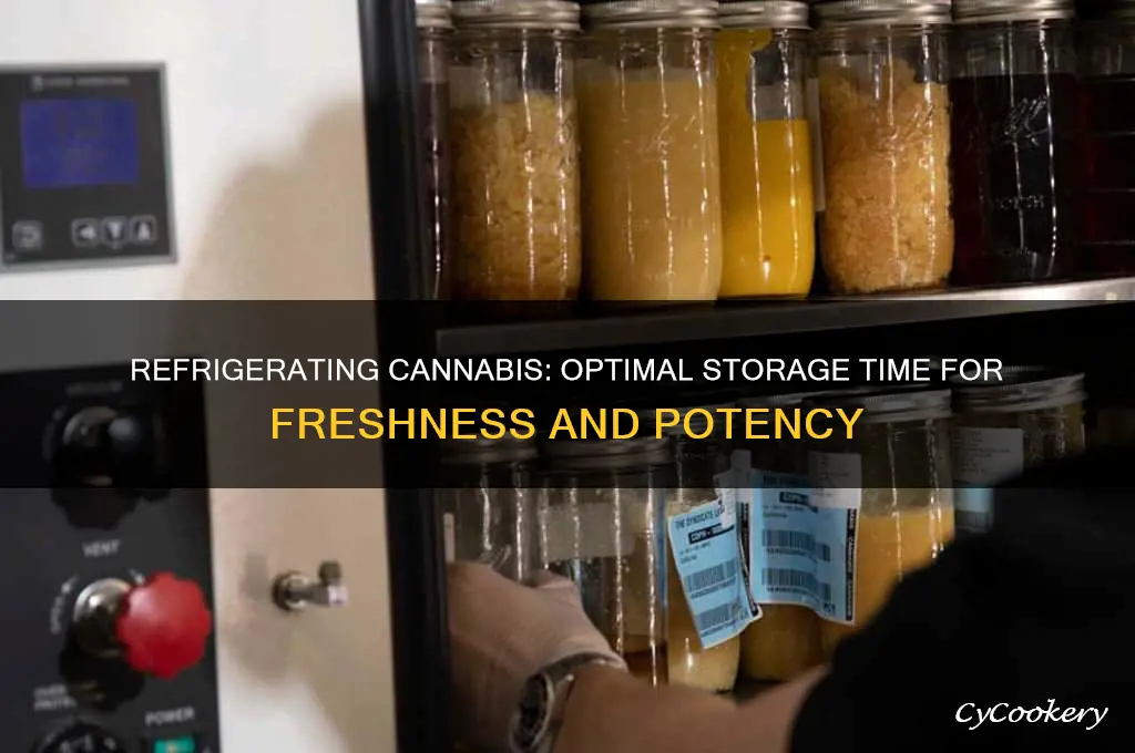 how long can you refrigerate pot