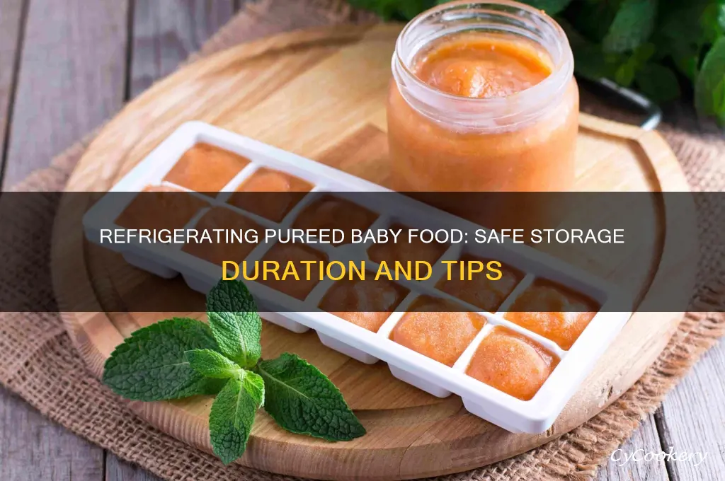 how long can you refrigerate pureed baby food