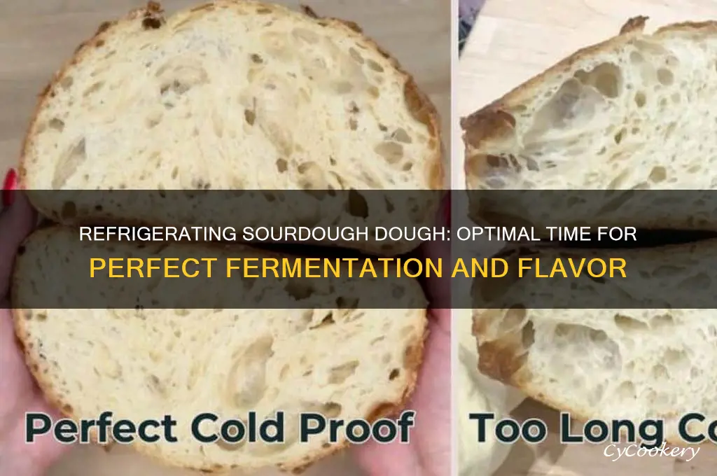 how long can you refrigerate sourdough bread dough