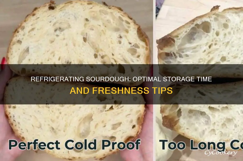 how long can you refrigerate sourdough