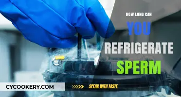 Refrigerating Sperm: Safe Storage Duration and Preservation Tips