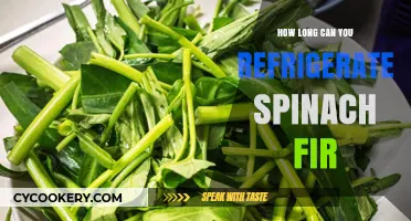 Refrigerating Spinach: Optimal Storage Time and Freshness Tips