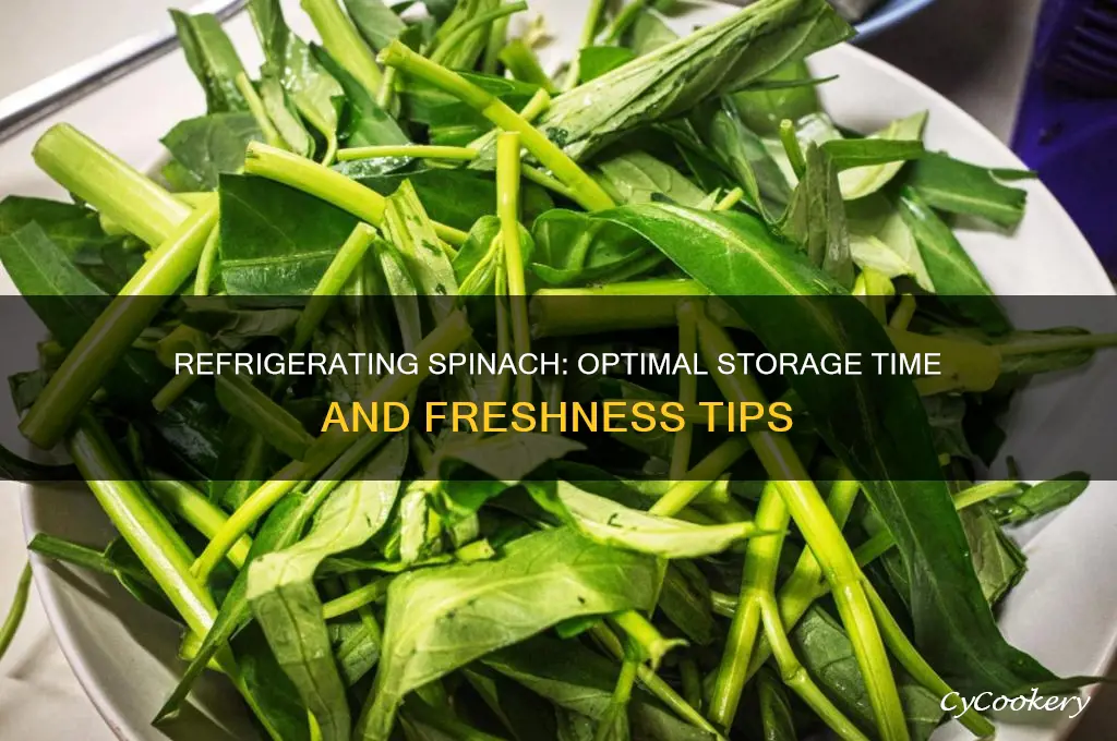 how long can you refrigerate spinach fir
