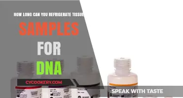 Refrigerating Tissue Samples: Optimal DNA Preservation Timeframe Explained