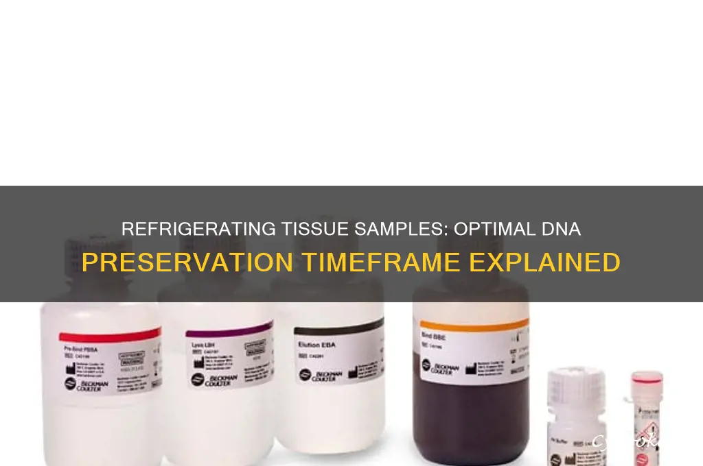 how long can you refrigerate tissue samples for dna
