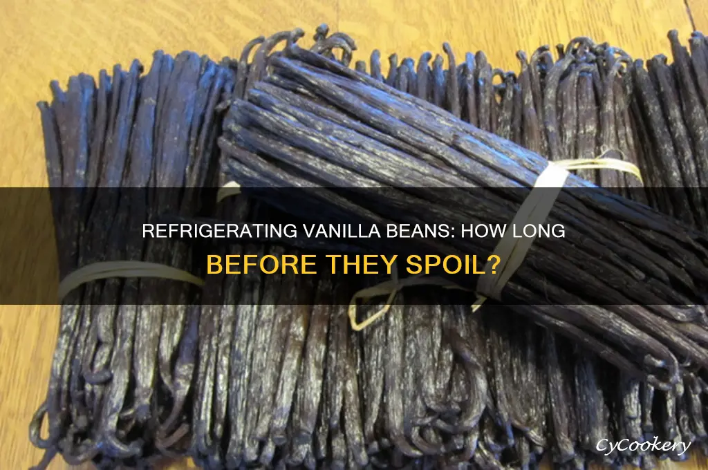 how long can you refrigerate vanilla beanswithout ruining them