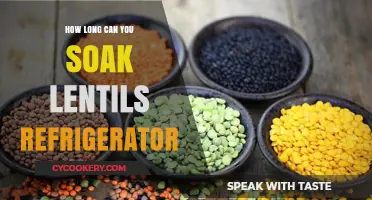 Refrigerator Lentil Soaking Guide: Maximize Freshness and Flavor
