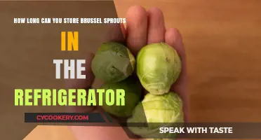 Maximizing Freshness: Refrigerator Storage Tips for Brussel Sprouts