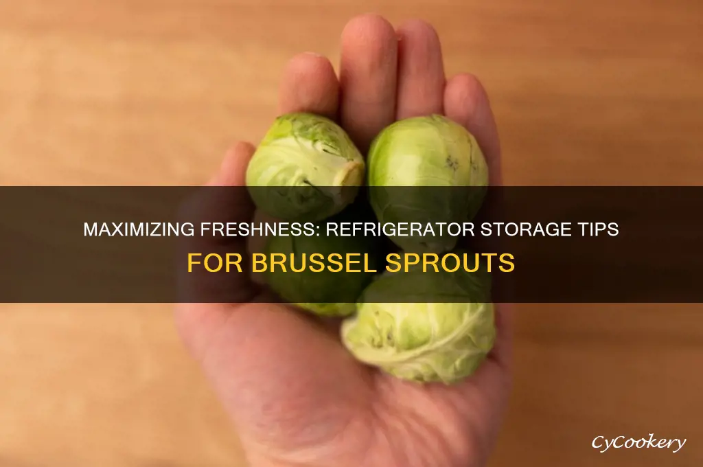 how long can you store brussel sprouts in the refrigerator