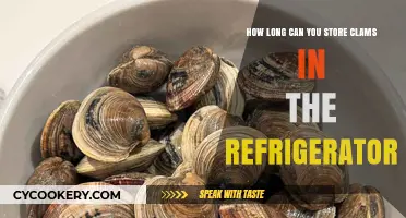 Storing Clams Safely: Refrigerator Shelf Life and Freshness Tips
