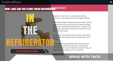 Fresh Mushrooms in the Fridge: Optimal Storage Time and Tips