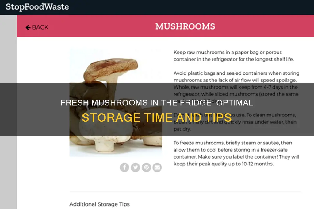 how long can you store fresh mushrooms in the refrigerator