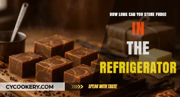 Fudge Storage Tips: How Long Can You Refrigerate Fudge?
