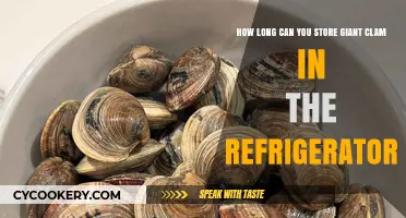 Giant Clam Storage: Refrigerator Shelf Life and Freshness Tips