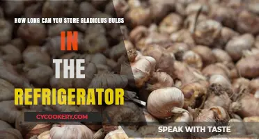 Storing Gladiolus Bulbs: Refrigerator Storage Tips and Duration Guide