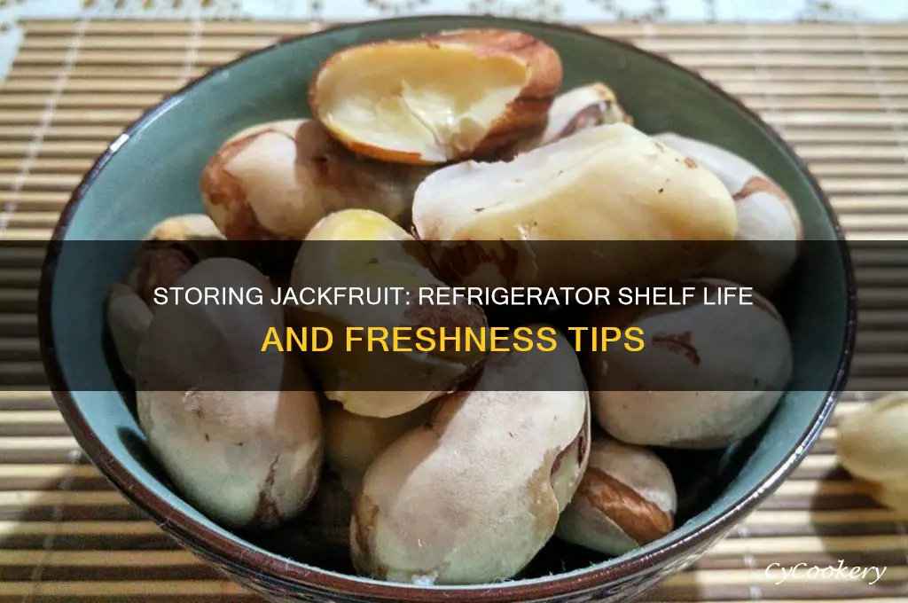 how long can you store jackfruit in refrigerator