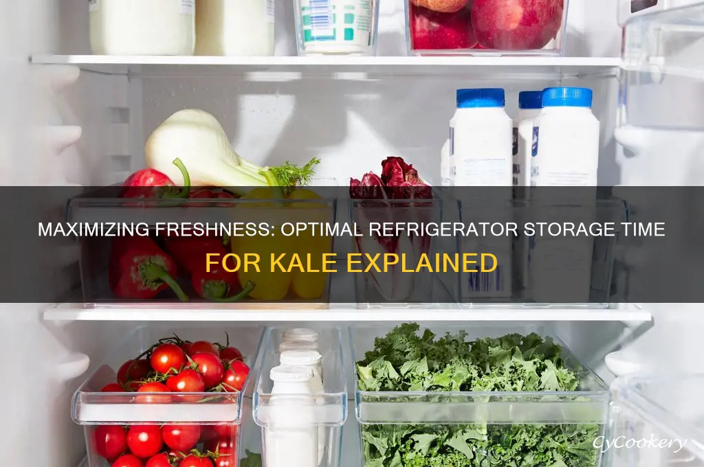 how long can you store kale in the refrigerator