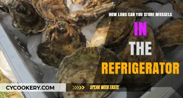 Storing Mussels Safely: Refrigerator Shelf Life and Freshness Tips