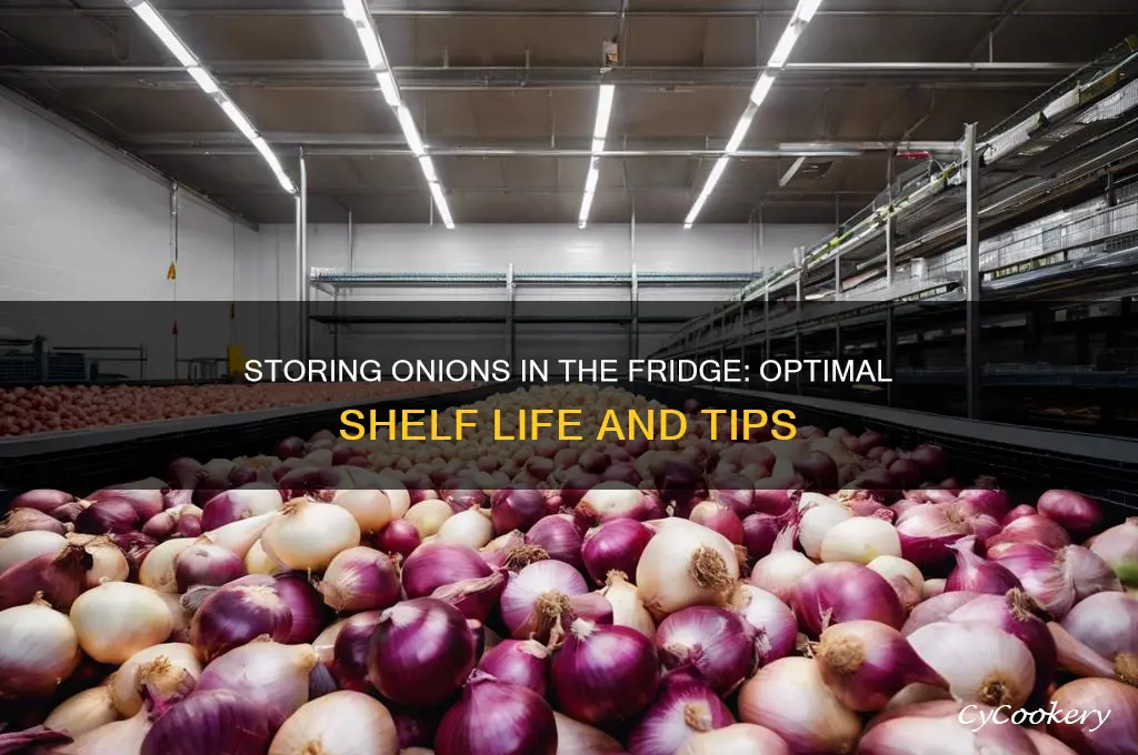 how long can you store onions in the refrigerator